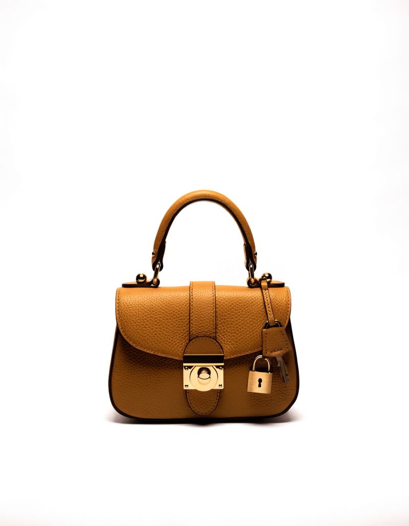 Hermès Birkin 25